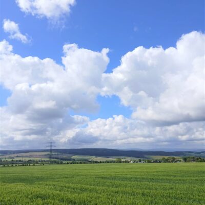 IMG-20250515-WA0041