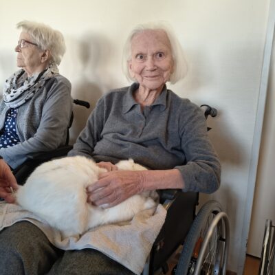 IMG_20260228_101550329_HDR